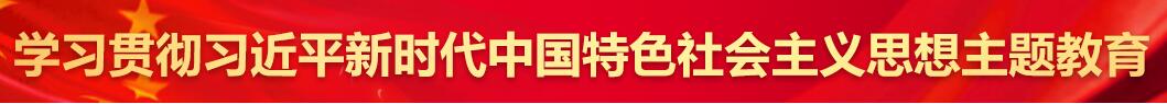 學習貫徹習近平新時代中國特色社會主義思想主題教育